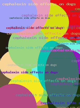 cephalexin side effects on dogs